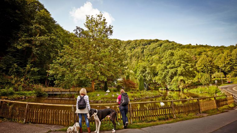 Zwei Personen mit Hunden stehen vor einem Teich mit Schwänen, umgeben von Bäumen.