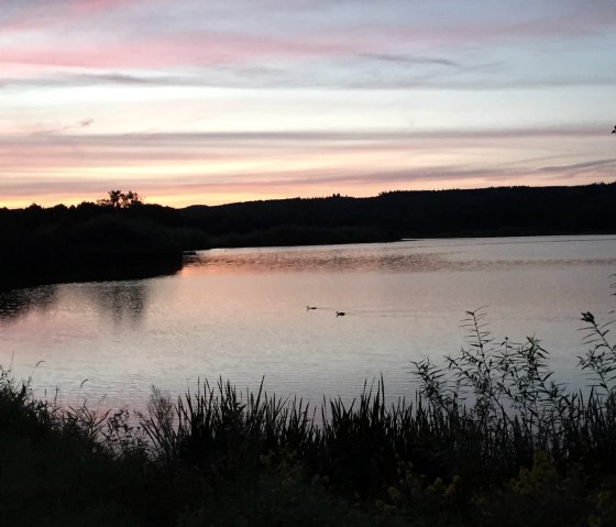 Ulmener Weiher
