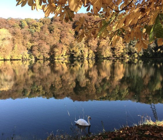 Maar im Herbst