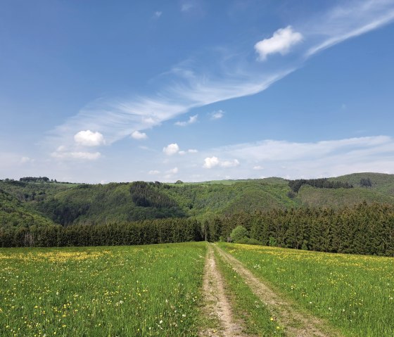 Hiking directly from door, © Pannhausen