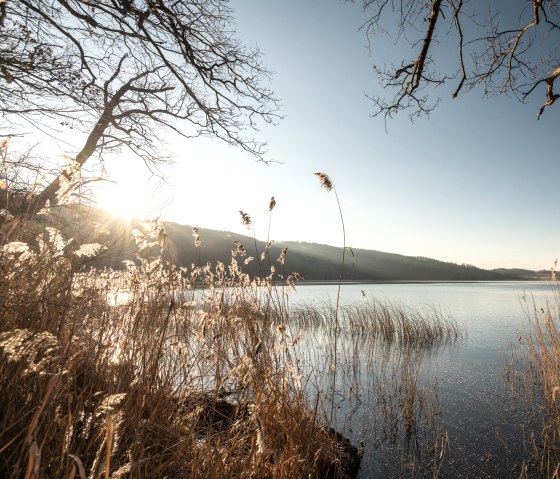 Idyllisches Ufer am Laacher See, Wanderweg Pellenzer Seepfad, © Eifel Tourismus GmbH, D. Ketz