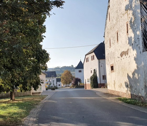 rue de Brecht, bordée d'arbres et de vieux bâtiments, mène au centre du village. Le soleil projette de longues ombres sur la route., © TI Bitburger Land, Steffi Wagner