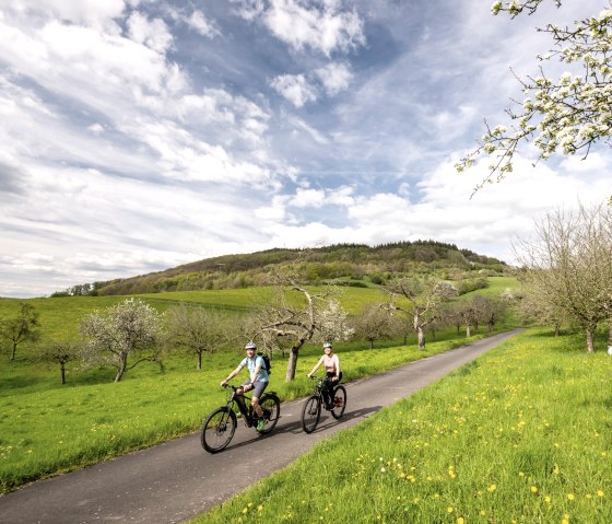 Im Frühjahr führt die Radreise durch blühende Streuobstwiesen im Naturpark Südeifel, © Eifel Tourismus GmbH, Dominik Ketz