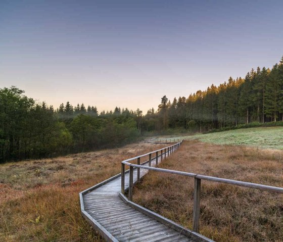 EifelSchleife veenpad, loopbrug door veenlandschap, © Nordeifel Tourismus GmbH, Paul Meixner