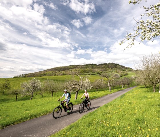 In het voorjaar voert de fietstocht je door bloeiende boomgaarden in het natuurpark Zuid-Eifel., © Eifel Tourismus GmbH, Dominik Ketz