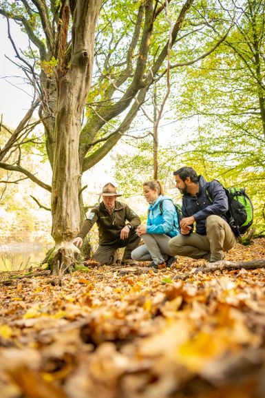 Geführte Wandertour mit einem Nationalpark-Ranger, der die Natur erklärt