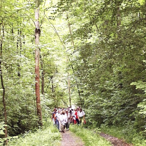 Valerian, dost and dill, © Naturzentrum Eifel