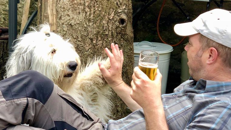 Ein Mann sitzt entspannt mit einem Bier und kommuniziert mit einem großen Hund. Der Hund lächelt und hebt seine Pfote in die Richtung des Mannes.