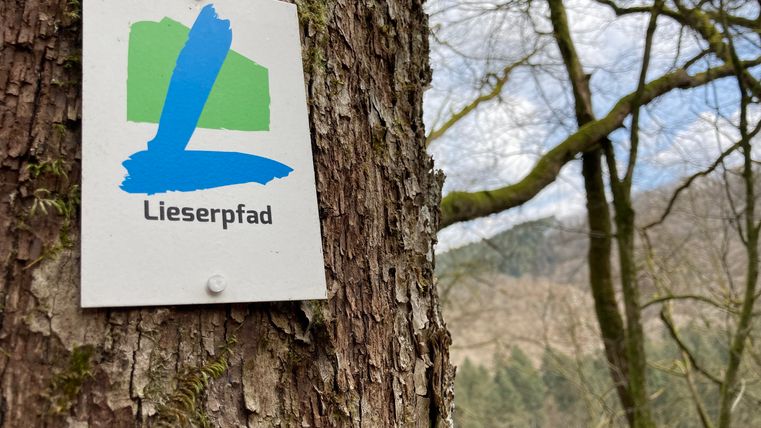 Ein Schild mit dem Logo des Lieserpfads an einem Baumstamm im Wald.
