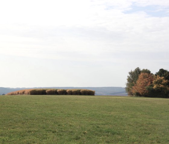 View of the landscape, © Eifel Tourismus GmbH