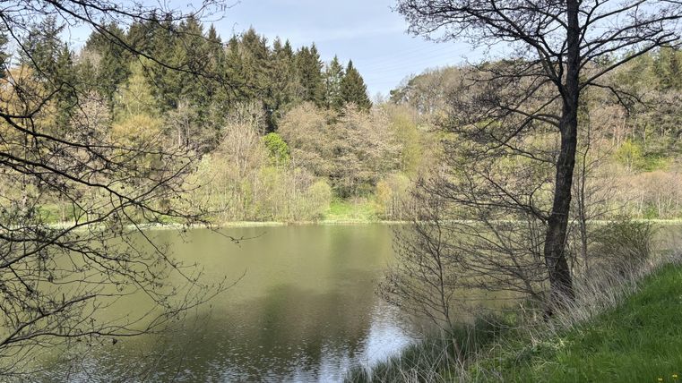 Ein ruhiger See umgeben von Bäumen und sanften Hügeln. Die Natur strahlt im frischen Grün des Frühlings.