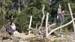 Walderlebnisparcours Kölschkier, Spinnennetz, © Eifel Tourismus GmbH, Tobias Vollmer - finanziert duch REACT-EU