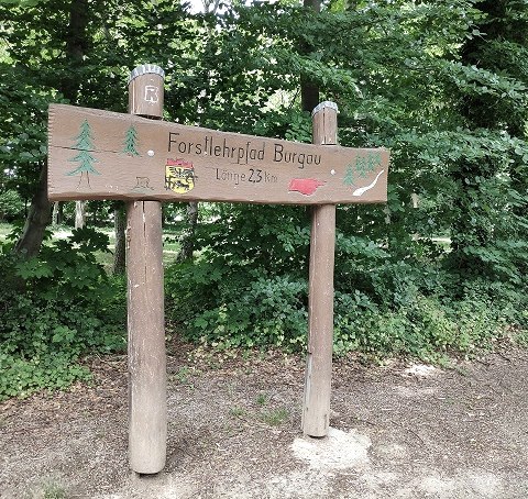 Forstlehrpfad im Wald von Schloss Burgau, © Sophia Eckerle