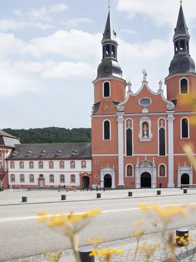 Eine beeindruckende Kirche mit zwei hohen Türmen und einer detailreichen Fassade. Im Vordergrund blühen gelbe Blumen und der Himmel ist klar.