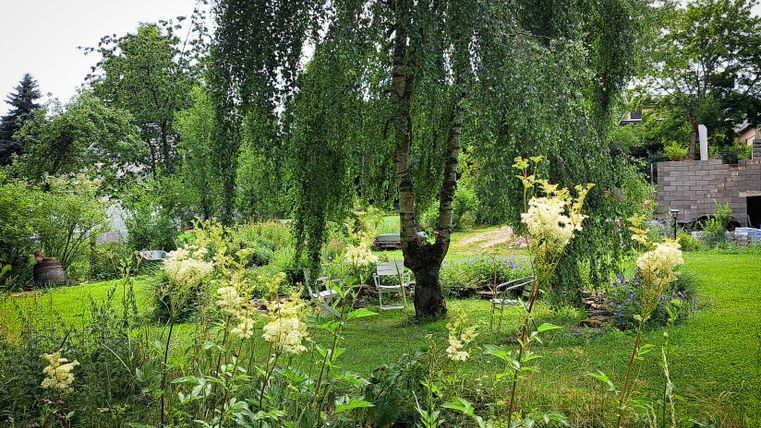 Ein ruhiger Garten mit einem hohen Weidenbaum und bunten Blumen. Im Hintergrund stehen zwei Stühle in einer grünen Umgebung.