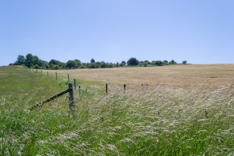 Des prairies vertes avec une clôture en bois sous un ciel bleu dans l'Eifel.