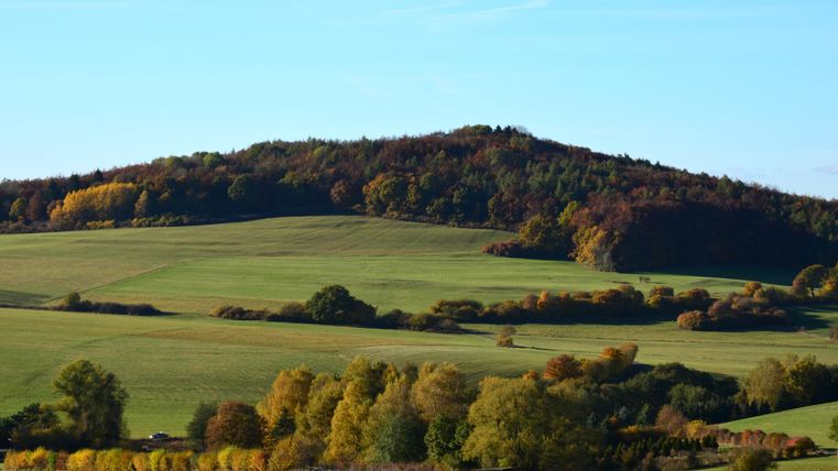A gentle, green landscape with a wooded hill in the background. The trees display autumn colors and the sky is clear.