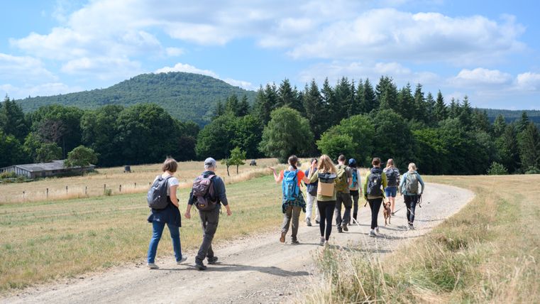 Un groupe de randonneurs sur le chemin entre les champs au loin une forêt