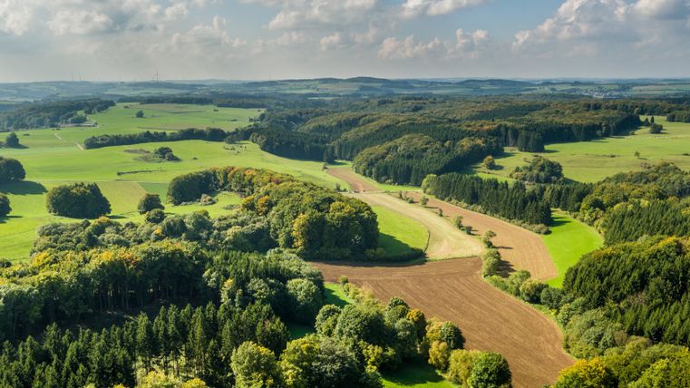 Landschap met velden, bossen en heuvels onder een blauwe lucht met wolken.