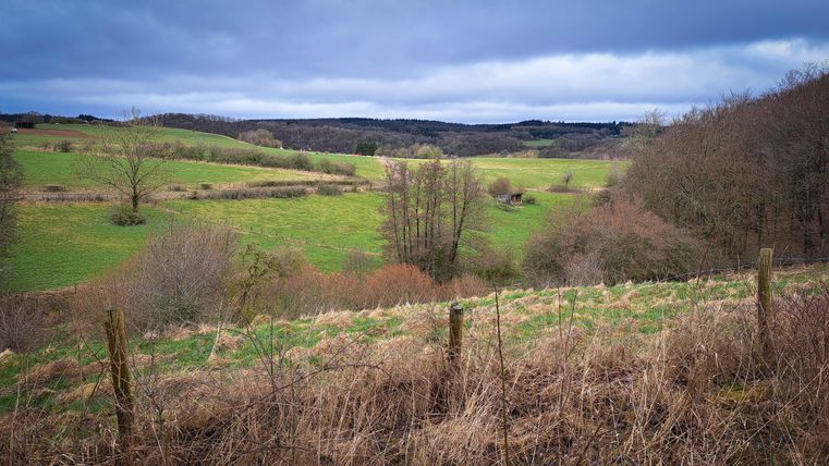 Eine weite Landschaft mit grünen Wiesen und vereinzelten Bäumen. Der Himmel ist bewölkt und die Atmosphäre ist ruhig.