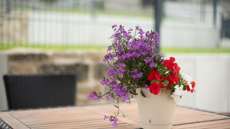 Ein Blumentopf mit roten und lila Blumen steht auf einem Holztisch. Im Hintergrund ist eine unscharfe, grüne Landschaft zu sehen.