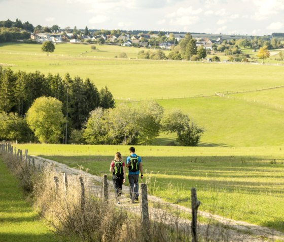 ET-2022-129-Umfeld Greifvogelstation, Harperscheid-@Eifel Tourismus GmbH, Dominik Ketz, © Eifel Tourismus GmbH, Dominik Ketz