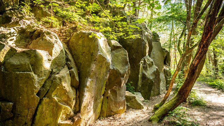 Vulkanische Felsformationen im Wald am Kottenheimer Winfeld.