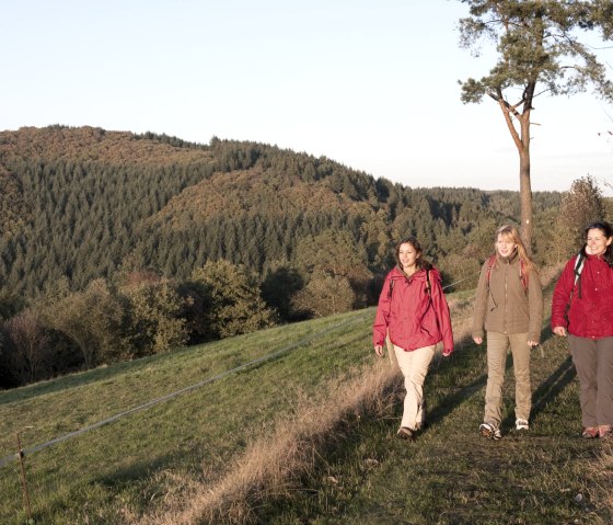 Wanderather - Hiking trail in fall, © Traumpfade/Kappest