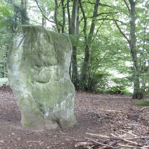 De druïdensteen bij Bollendorf, © Elke Wagner
