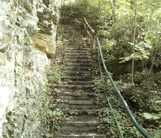 Trappen in het bos