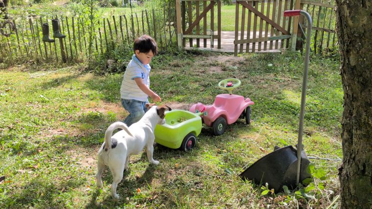 Ein kleines Kind spielt im Garten mit bunten Spielzeugautos. Ein Hund steht daneben und beobachtet neugierig.