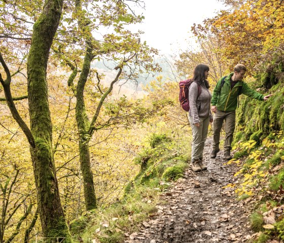 Sentiers étroits et rocheux sur l'étape 12 de l'Eifelsteig, © Eifel Tourismus GmbH, D. Ketz
