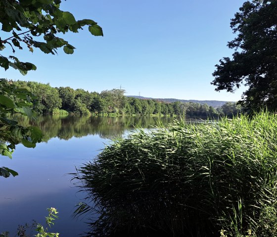Idyll am Sterenbachsee, © Tourist-Information Wittlich Stadt & Land