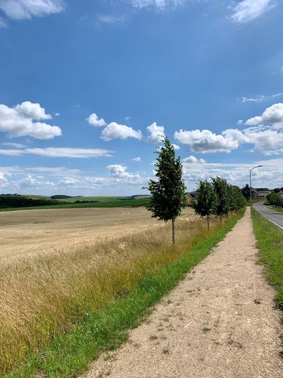 Ein steiniger Fußweg neben einer befahrbaren Straße und einem Feld mit kleinen Bäumen bei Wind