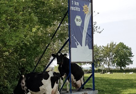 Du lait frais dans le distributeur automatique de lait, © Biohof Beuel