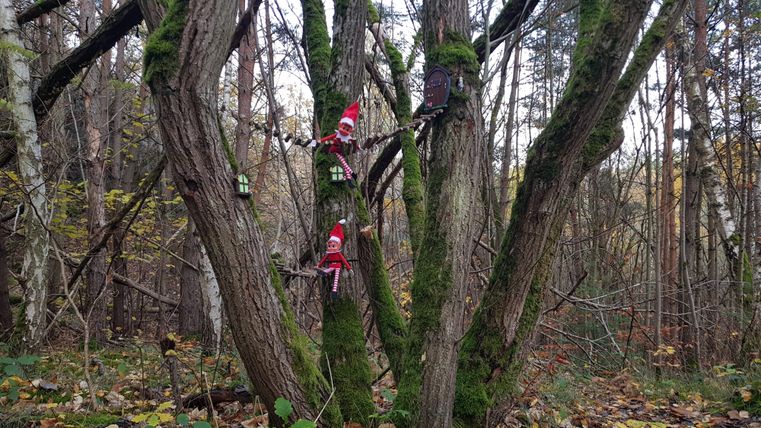 Ein Baum im Wald, an dem Figuren in roter Kleidung hängen. Umgeben von herbstlichem Laub und Bäumen.