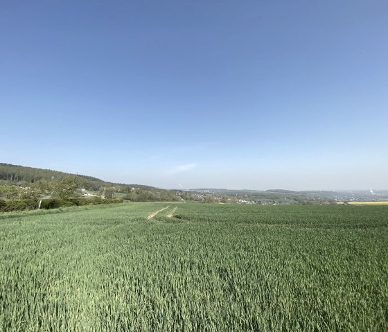 Bördelandschaft met weids uitzicht, © Rureifel-Tourimus e.V.