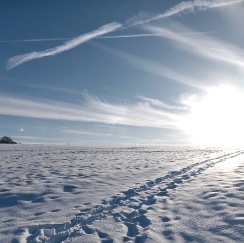 Vertrek en aankomst, © Seelsorge in Nationalpark Eifel und Vogelsang
