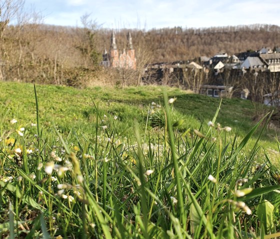 View of the St. Salvator Basilica in Prüm from the hiking trail, © Tourist-Information Prümer Land