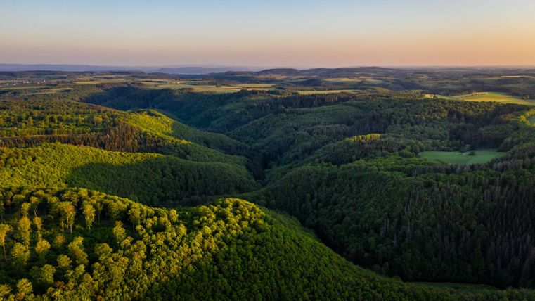 Luftaufnahme einer grünen, bewaldeten Hügellandschaft in der Eifel bei Sonnenuntergang.