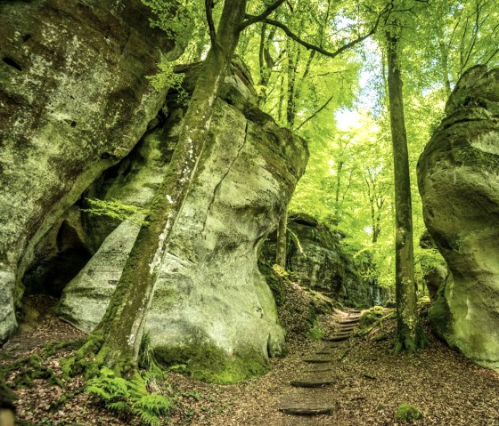 Wolf Gorge on the Felsenweg 3, © Eifel Tourismus GmbH, D. Ketz