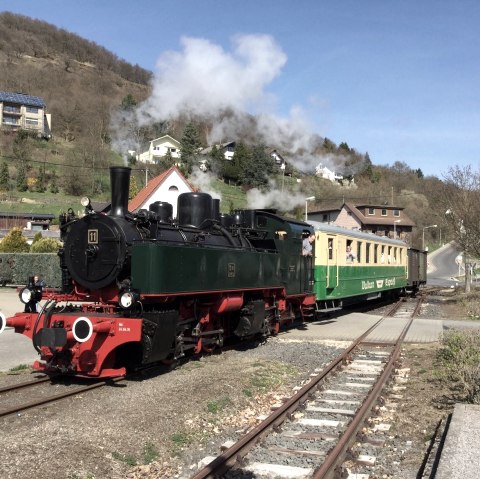 Vulkaan Express, © TI Vulkanregion Laacher See