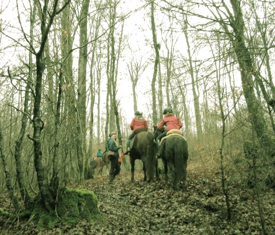 Trail ride