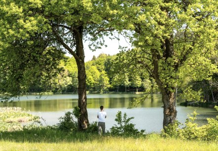 Holzmaar, © GesundLand Vulkaneifel GmbH