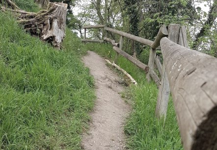 Sentier de randonnée jusqu'au refuge, © Tourist Information Wittlich Stadt & Land
