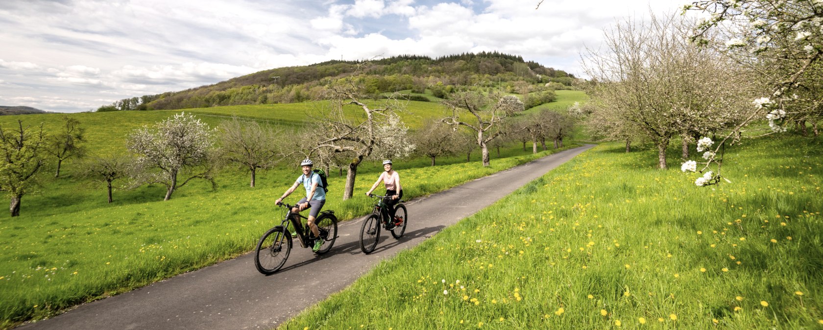 In het voorjaar voert de fietstocht je door bloeiende boomgaarden in het natuurpark Zuid-Eifel., © Eifel Tourismus GmbH, Dominik Ketz
