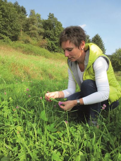 Eine Frau in einer gelben Weste kniet im Gras und untersucht Pflanzen. Sie steht in einer grünen Wiese unter einem blauen Himmel.