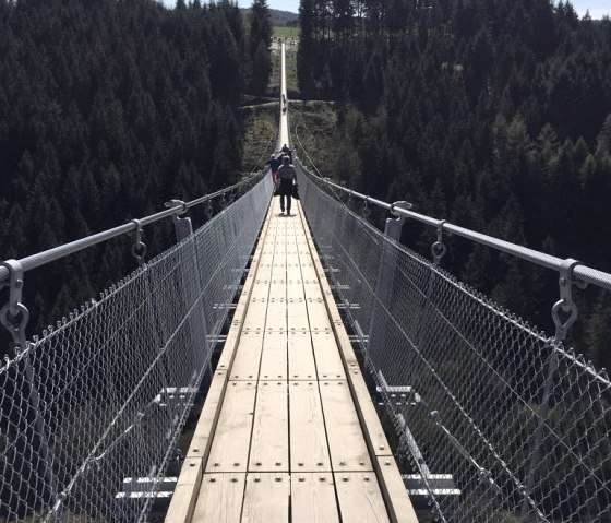 Pont suspendu à câbles de Mörsdorf