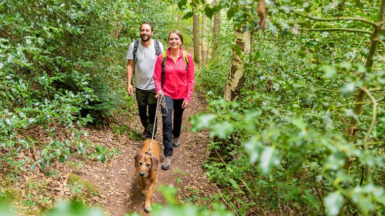 Mann und Frau wandern mit einem Hund durch einen Wald in der Eifel