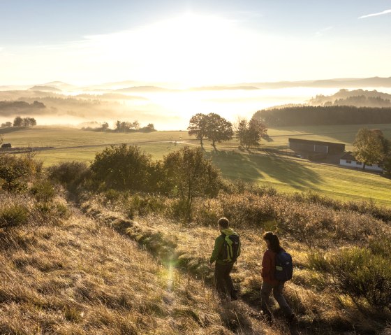Randonnée au lever du soleil sur le Eifelsteig, Rother Kopf, © Eifel Tourismus GmbH, Dominik Ketz